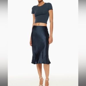 Aritzia Babaton Slip Satin Midi Skirt